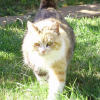 Photo de Minette