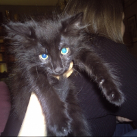 Photo de profil de Bouboul