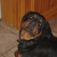 Photo de profil de Eliot
