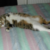 Photo de Yuna