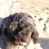 Photo de Salsa