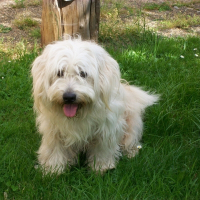 Photo de profil de Lucky
