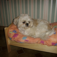 Photo de profil de Berinis