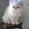 Photo de Baltik