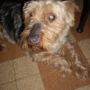 Photo de Momo
