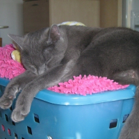 Photo de profil de Juliette