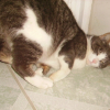 Photo de Lola