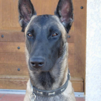 Photo de profil de Aïdan