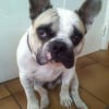 Photo de Curt