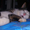 Photo de Kirikou