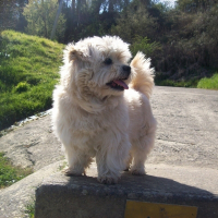Photo de profil de Flocon