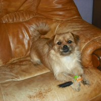 Photo de profil de Chanel