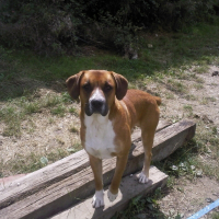 Photo de profil de Tyson