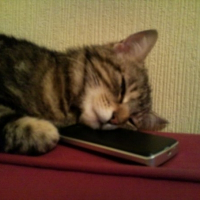 Photo de profil de Cléo