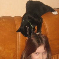 Photo de profil de Kikinou