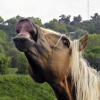 Photo de Practisse