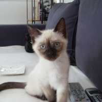 Photo de profil de Nina