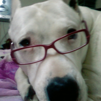 Photo de profil de Fanny
