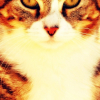 Photo de Pistache