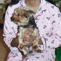 Photo de profil de Lady