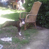 Photo de profil de Diska