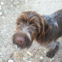 Photo de profil de Edouard