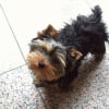 Photo de Etoile