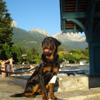Photo de profil de Crash von melkev kamp