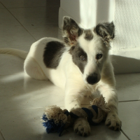 Photo de profil de Easy