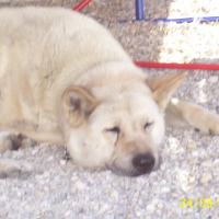 Photo de profil de Teo