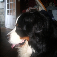 Photo de profil de Zéphyr