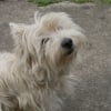 Photo de Jovi