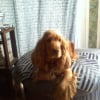 Photo de Lilou