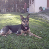 Photo de Java