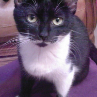 Photo de profil de Pastille 
