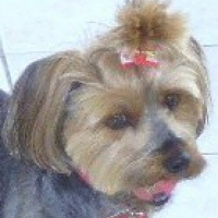 Photo de profil de Chloé