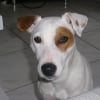 Photo de Charly