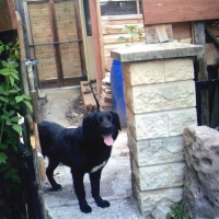 Photo de profil de Démon