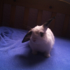 Photo de Twiiiiix 