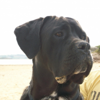 Photo de profil de Elmut
