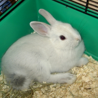 Photo de profil de Sushi