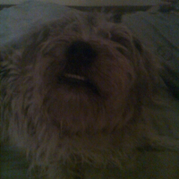 Photo de profil de Bart