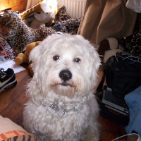 Photo de profil de Bounty