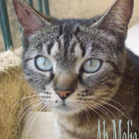 Photo de profil de Maman