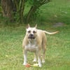 Photo de Venus