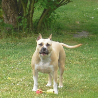 Photo de profil de Venus