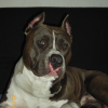 Photo de Neo