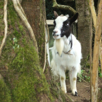 Photo de profil de La grosse