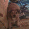 Photo de Smooky