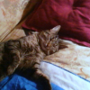 Photo de Poupette